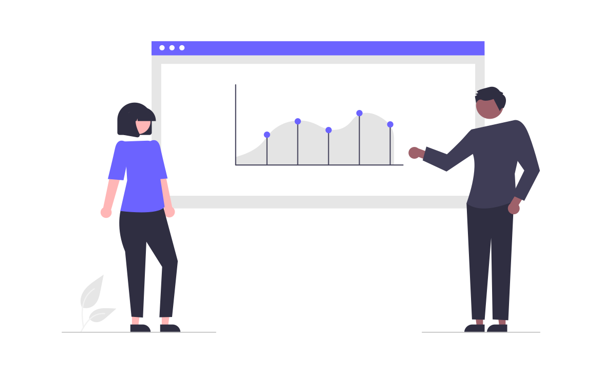 Account Audit